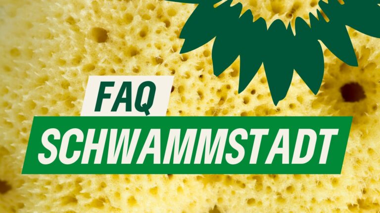 Fragen & Antworten: Schwammstadt