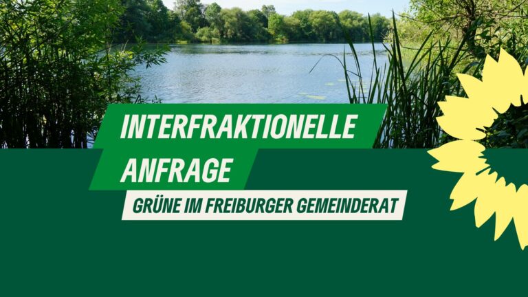 Antrag nach §34 GemO: Sicherheit an Badeseen